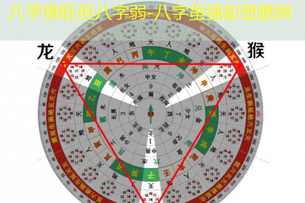  八字身旺但八字弱-八字虽强却显脆弱