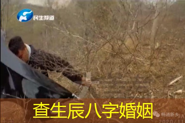  查生辰八字婚姻