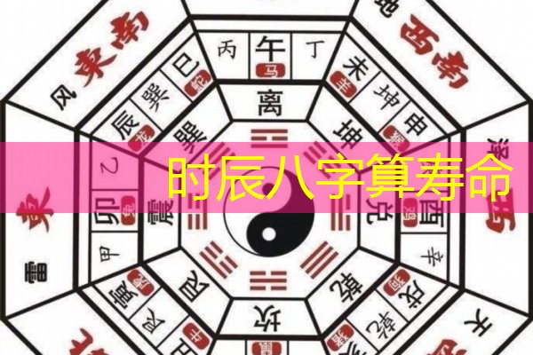  时辰八字算寿命