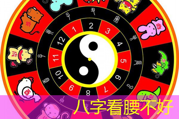  八字看腰不好