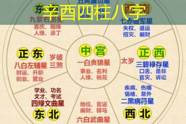  辛酉四柱八字