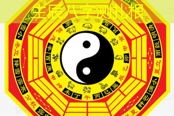  生辰八字测扎根