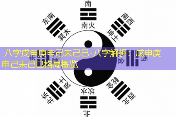  八字戊申庚申己未己巳-八字解析：戊申庚申己未己巳格局概览