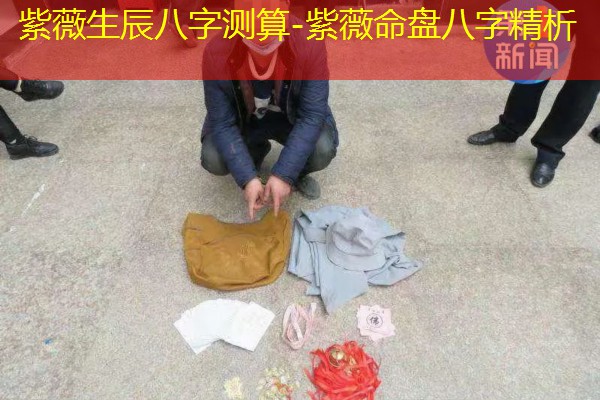  紫薇生辰八字测算-紫薇命盘八字精析
