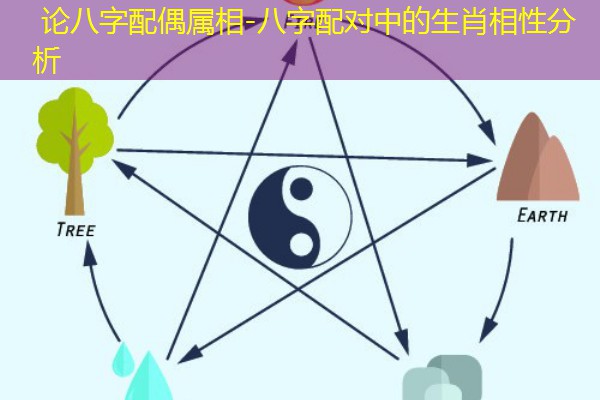  论八字配偶属相-八字配对中的生肖相性分析