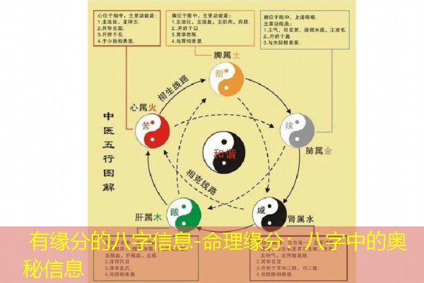  有缘分的八字信息-命理缘分：八字中的奥秘信息
