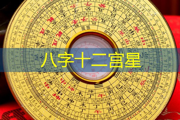  八字十二宫星