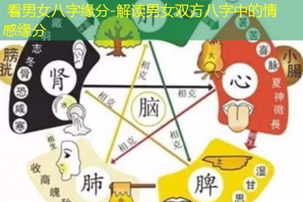  看男女八字缘分-解读男女双方八字中的情感缘分