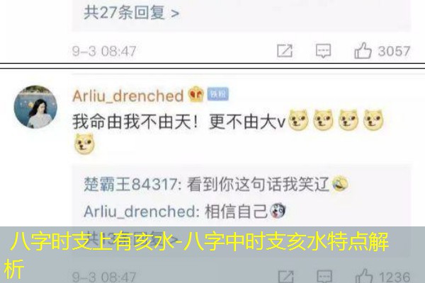  八字时支上有亥水-八字中时支亥水特点解析