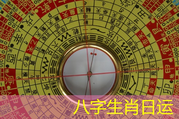 八字生肖日运