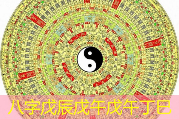  八字戊辰戊午戊午丁巳
