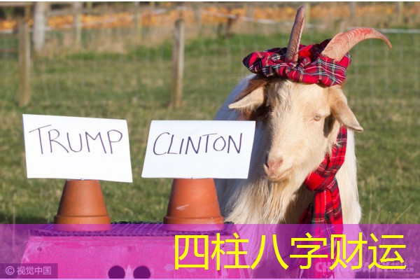  四柱八字财运