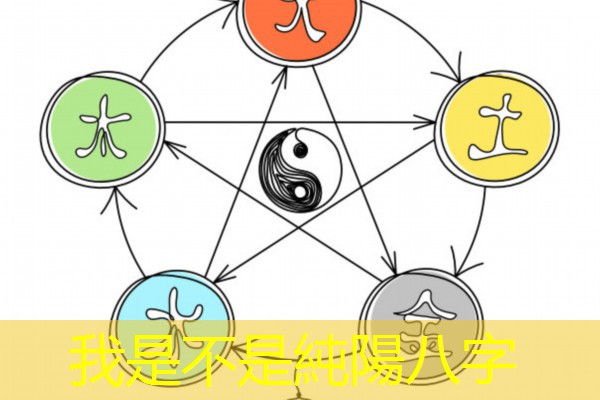 我是不是純陽八字
