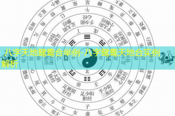  八字天地鸳鸯合举例-八字鸳鸯天地合实例解析