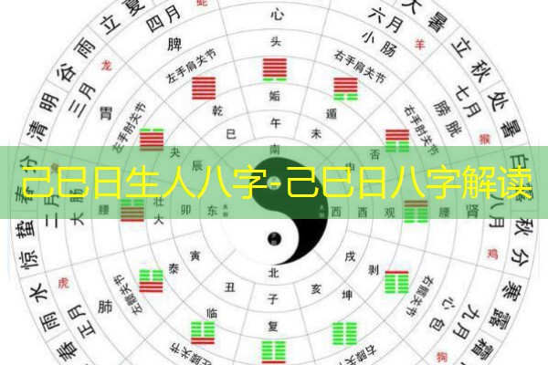  己巳日生人八字-己巳日八字解读