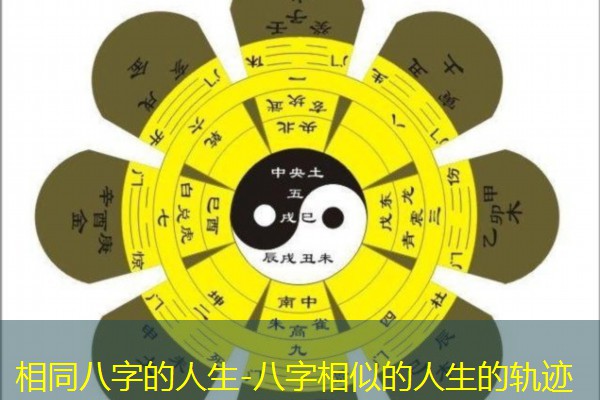 相同八字的人生-八字相似的人生的轨迹