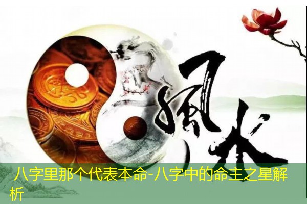  八字里那个代表本命-八字中的命主之星解析