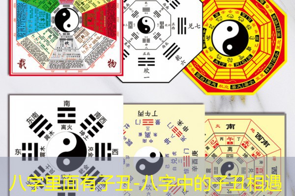  八字里面有子丑-八字中的子丑相遇