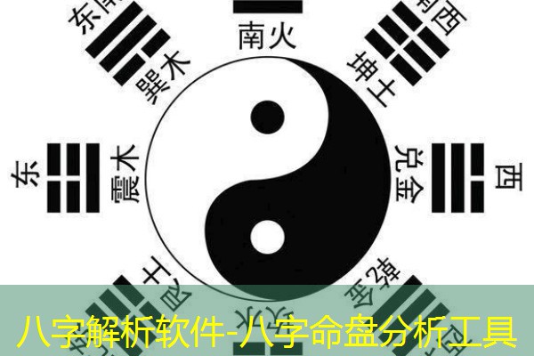  八字解析软件-八字命盘分析工具