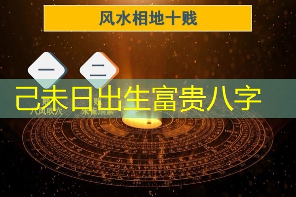  己未日出生富贵八字