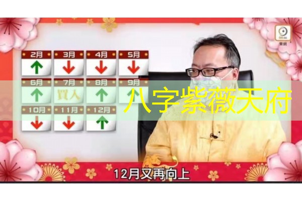  八字紫薇天府