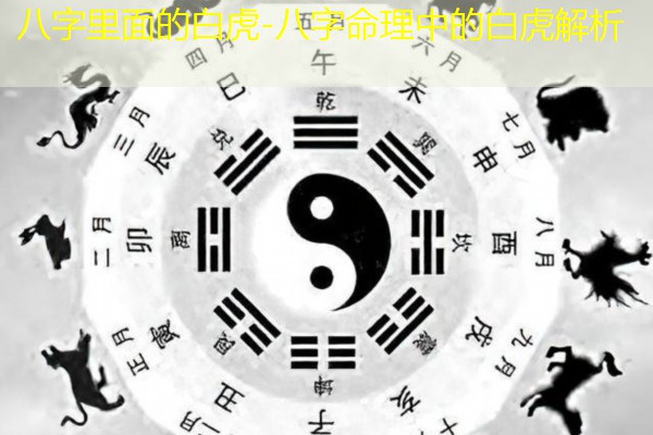  八字里面的白虎-八字命理中的白虎解析