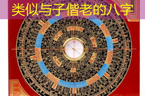  类似与子偕老的八字