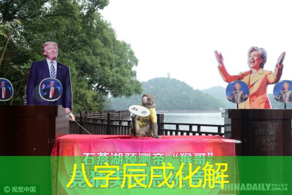  八字辰戌化解