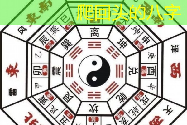  爬回头的八字