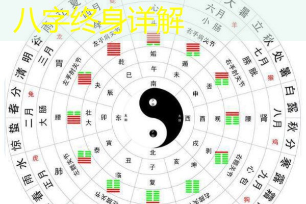  八字终身详解