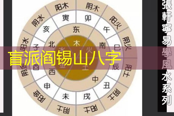  盲派阎锡山八字