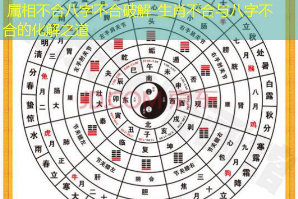  属相不合八字不合破解-生肖不合与八字不合的化解之道