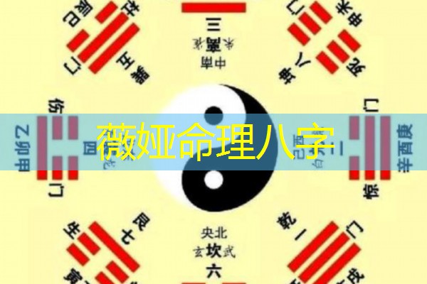  薇娅命理八字