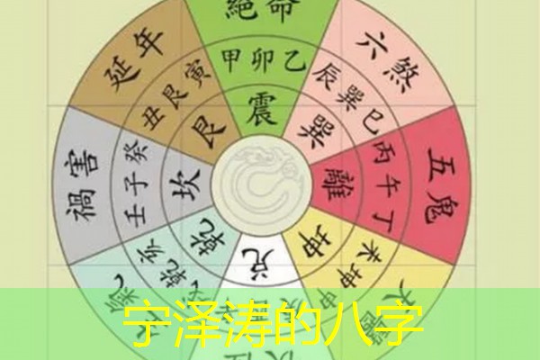  宁泽涛的八字