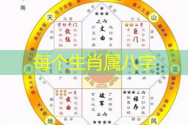  每个生肖属八字
