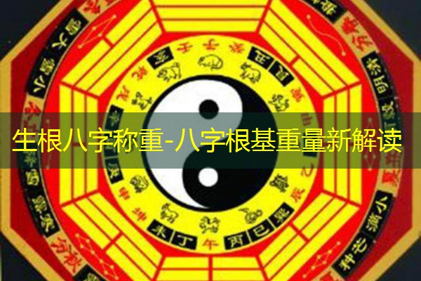  生根八字称重-八字根基重量新解读