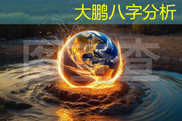  大鹏八字分析