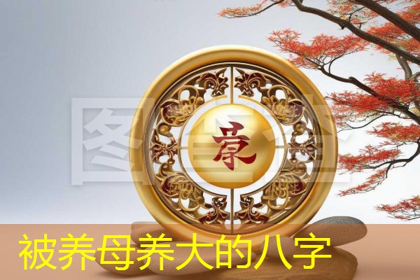 被养母养大的八字