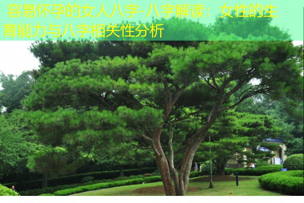  容易怀孕的女人八字-八字解读：女性的生育能力与八字相关性分析