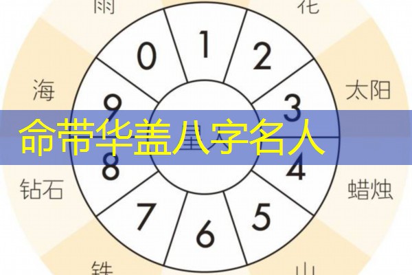  命带华盖八字名人