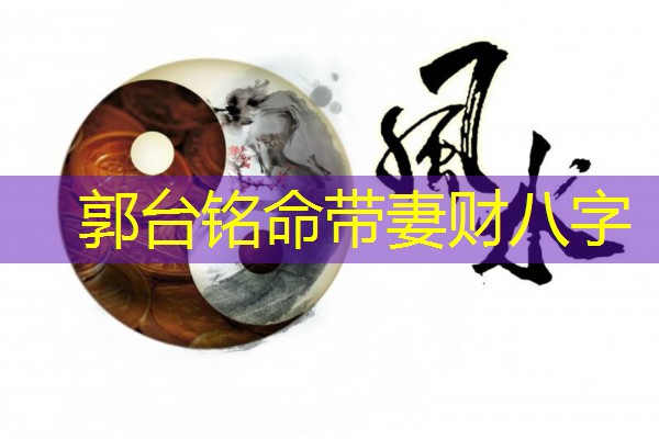  郭台铭命带妻财八字
