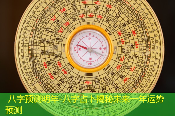  八字预测明年-八字占卜揭秘未来一年运势预测