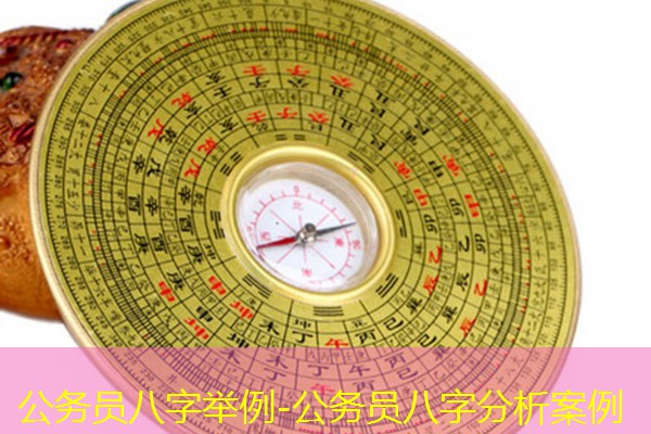  公务员八字举例-公务员八字分析案例
