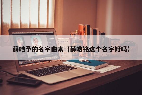 薛皓予的名字由来（薛皓铭这个名字好吗）