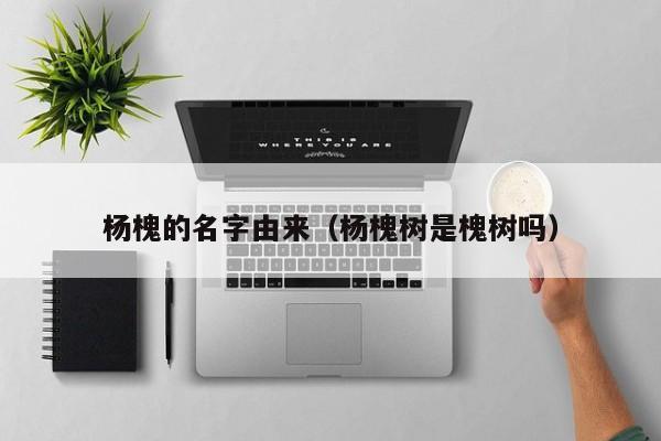杨槐的名字由来（杨槐树是槐树吗）