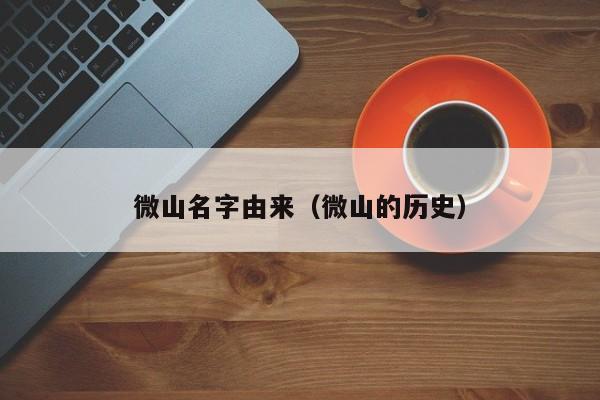 微山名字由来（微山的历史）