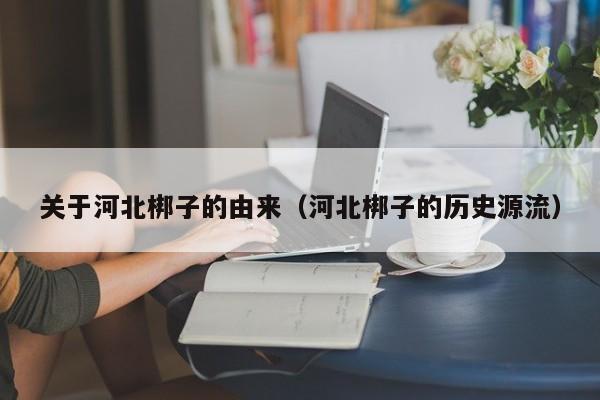 关于河北梆子的由来（河北梆子的历史源流）
