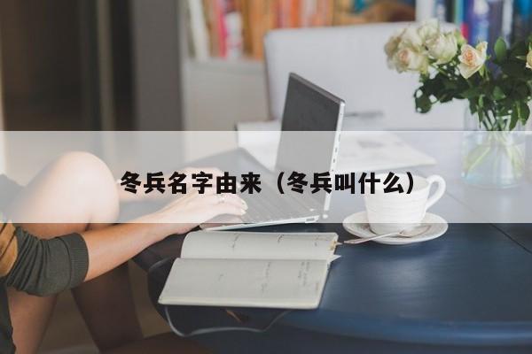 冬兵名字由来（冬兵叫什么）