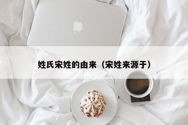 姓氏宋姓的由来（宋姓来源于）